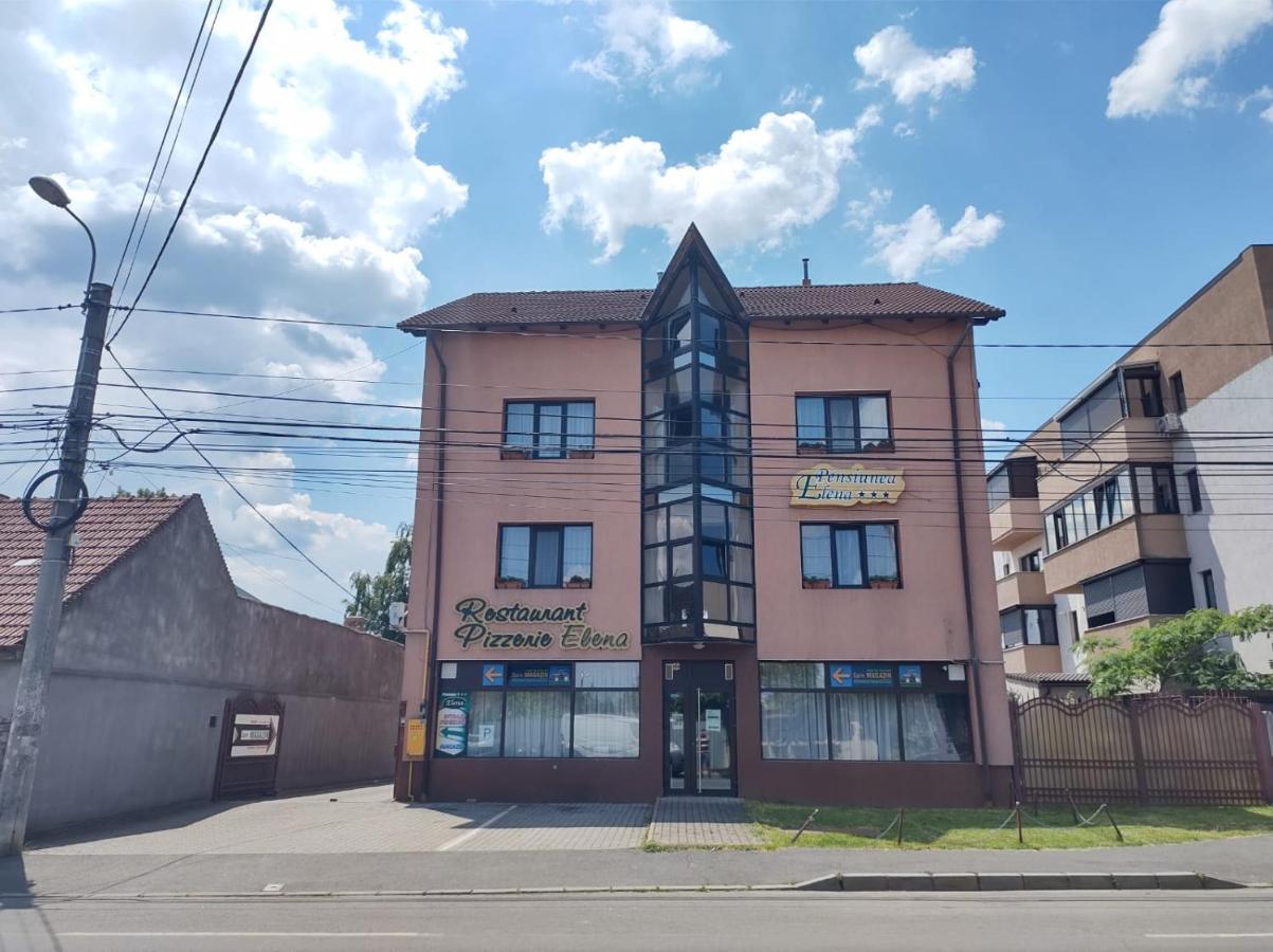 Pensiunea Elena Timişoara Exterior foto